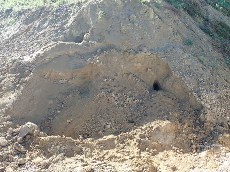 Erde kaufen Liestal Humus kaufen Liestal Sand kaufen Liestal L&ouml;ss kaufen Liestal Kies kaufen Liestal