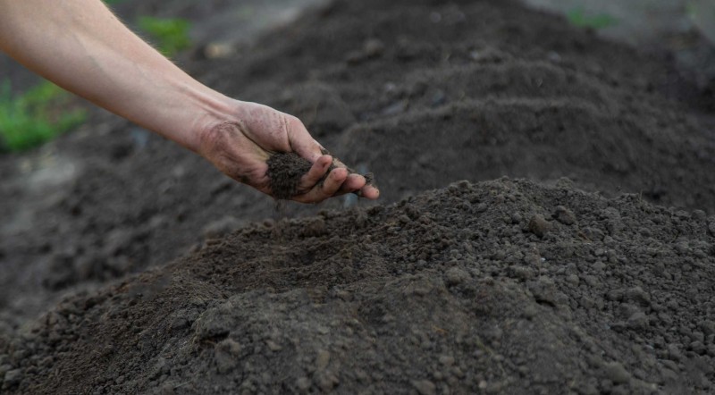 Erde kaufen Baselland Humus kaufen Baselland Sand kaufen Baselland Löss kaufen Baselland Kies kaufen Baselland